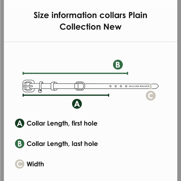 William Walker Leather Dog Collar, Size Large, Color: Lavendar - Picture 7 of 8